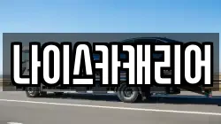 나이스카캐리어