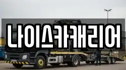 나이스카캐리어