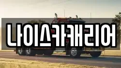 나이스카캐리어