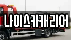 나이스카캐리어