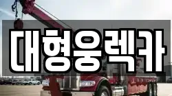 대형웅렉카