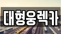 대형웅렉카