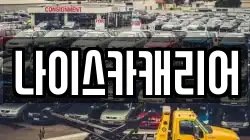 나이스카캐리어