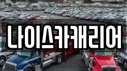 나이스카캐리어