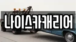나이스카캐리어