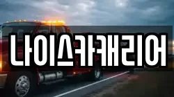 나이스카캐리어