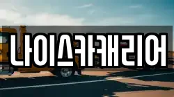 나이스카캐리어