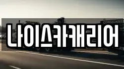 나이스카캐리어