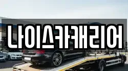 나이스카캐리어
