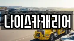 나이스카캐리어