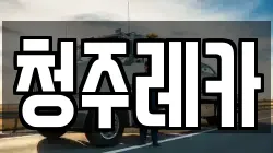 청주레카