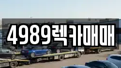 4989렉카매매