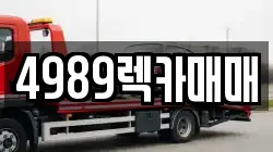 4989렉카매매