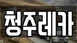 청주레카