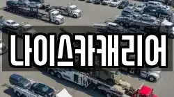 나이스카캐리어