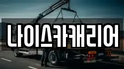 나이스카캐리어