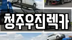 청주우진렉카