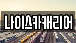 나이스카캐리어