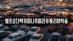 셀프로더렉카미니추레라카캐리어탁송