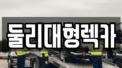 둘리대형렉카