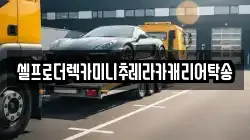 셀프로더렉카미니추레라카캐리어탁송