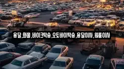 용달,화물,바이크탁송,오토바이탁송,용달이사,원룸이사